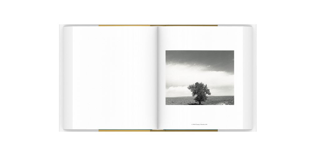 American Silence: The Photographs of Robert Adams
