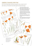 The Laws Guide to Nature Drawing and Journaling