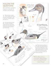 The Laws Guide to Nature Drawing and Journaling
