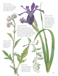 The Laws Guide to Nature Drawing and Journaling