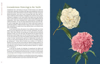 The Curanderx Toolkit