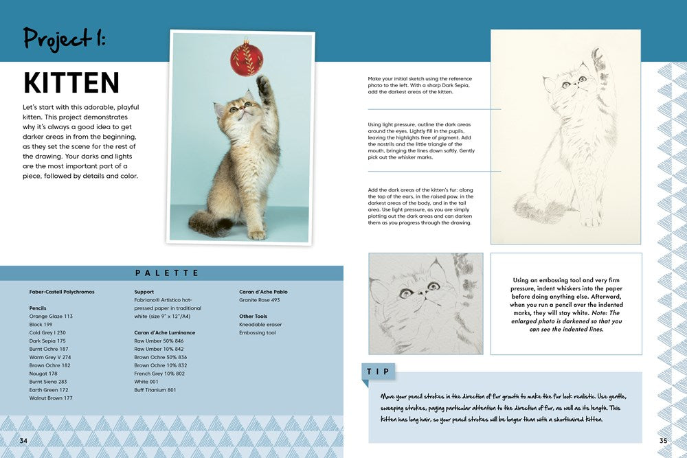 Realistic Animals in Colored Pencil