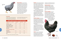 The Chicken Encyclopedia: An Illustrated Reference