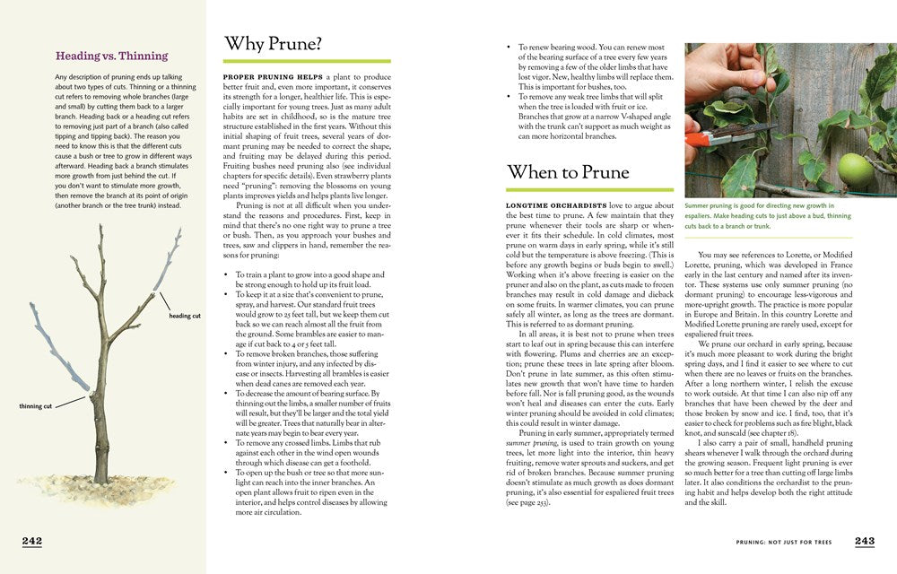 The Fruit Gardener's Bible: A Complete Guide to Growing Fruits and Nuts in the Home Garden