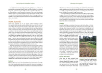 No-Till Intensive Vegetable Culture