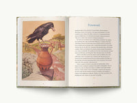 Aesop's Fables Hardcover
