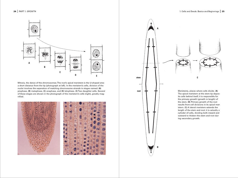 Botany for Gardeners