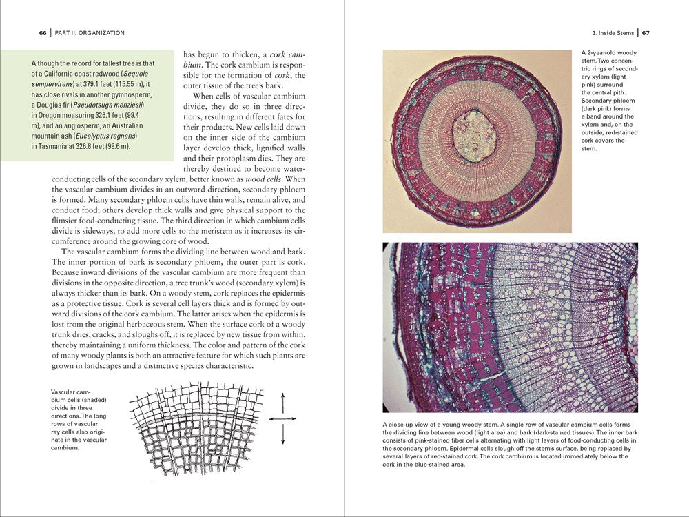 Botany for Gardeners