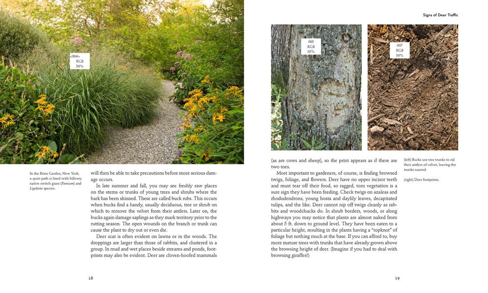 50 Beautiful Deer-Resistant Plants