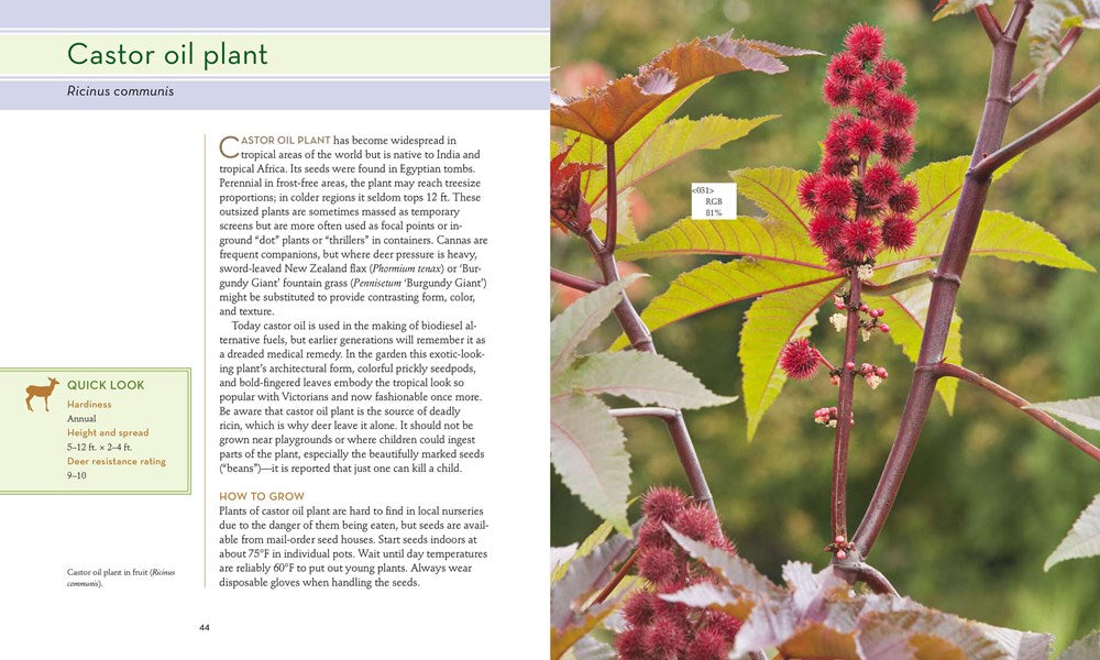 50 Beautiful Deer-Resistant Plants