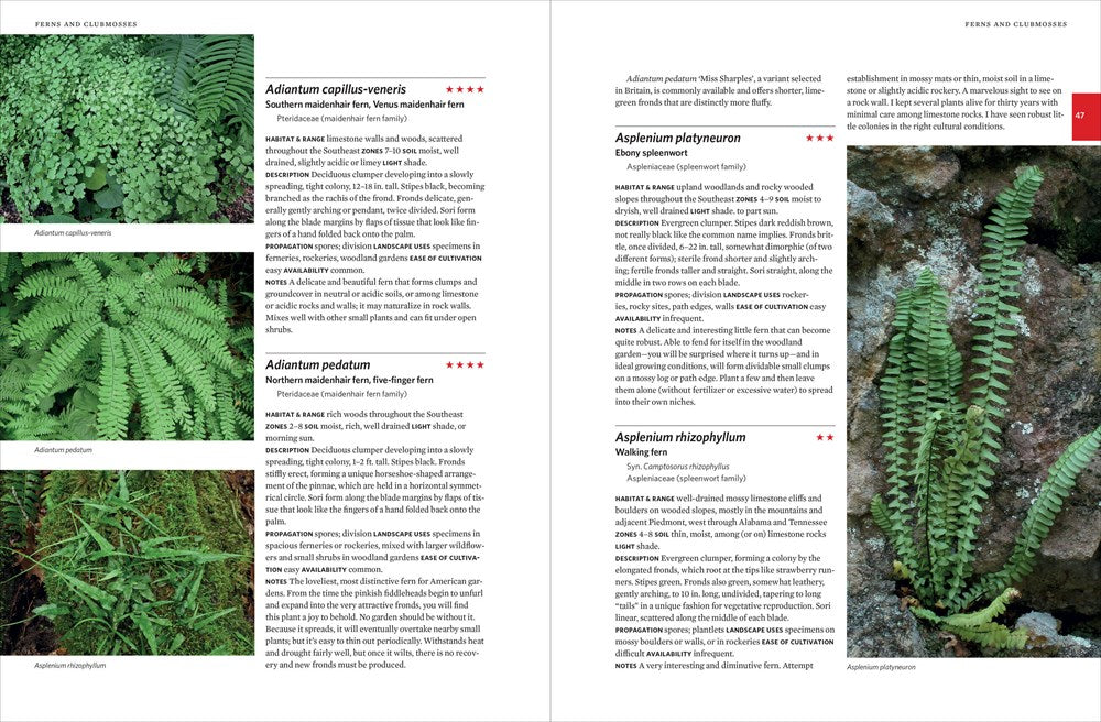 Native Plants of the Southeast