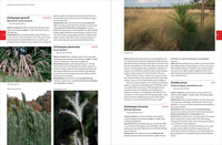 Native Plants of the Southeast