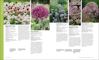 The Know Maintenance Perennial Garden