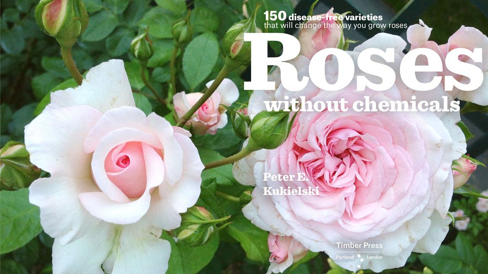 Roses Without Chemicals