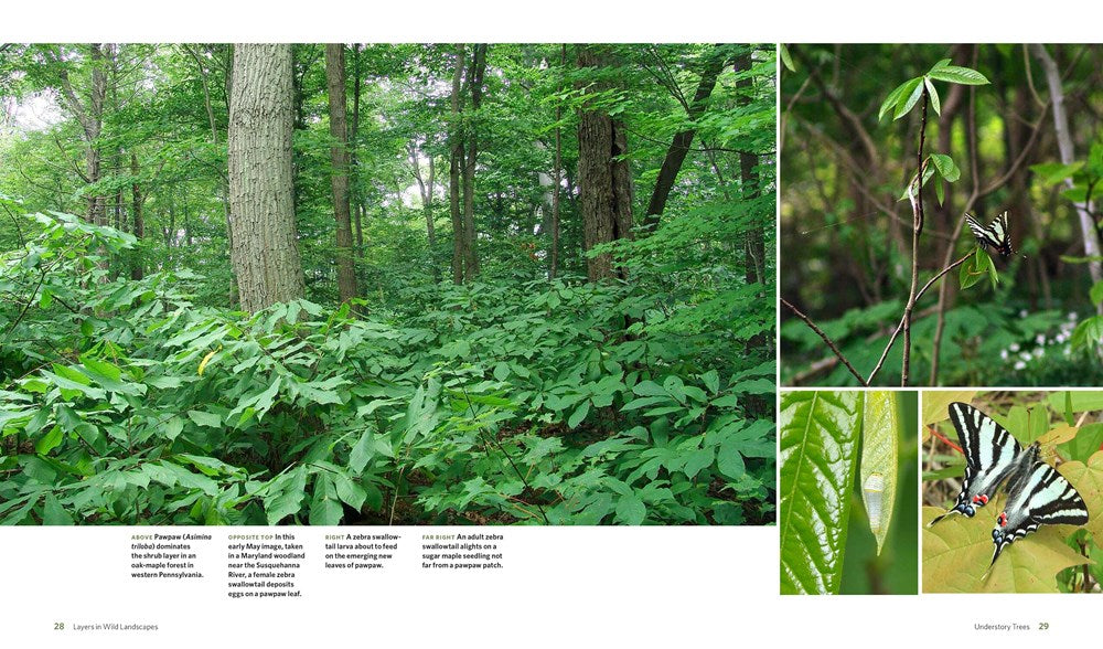 The Living Landscape