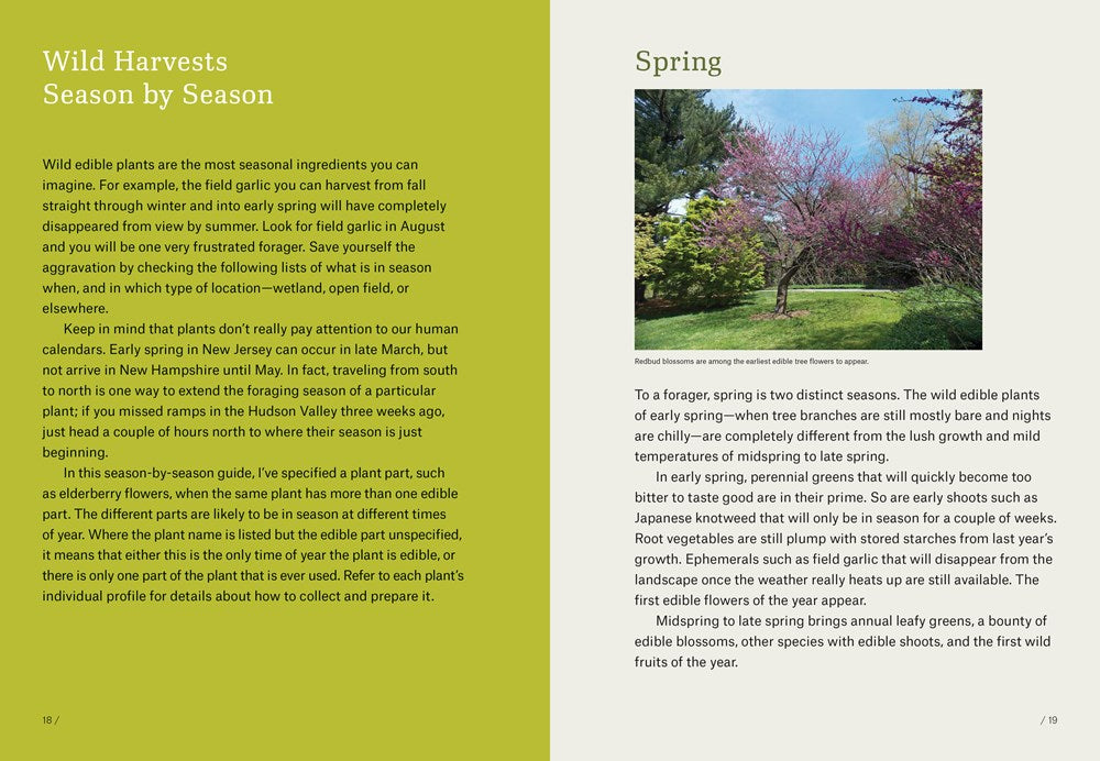 Northeast Foraging: 120 Wild and Flavorful Edibles from Beach Plums to Wineberries