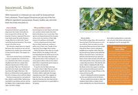 Northeast Foraging: 120 Wild and Flavorful Edibles from Beach Plums to Wineberries