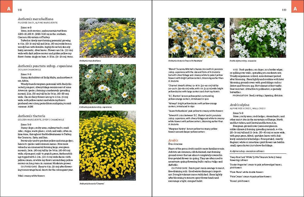 The Complete Book of Ground Covers