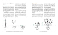 The Manual of Plant Grafting
