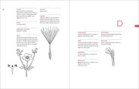 A Botanist's Vocabulary