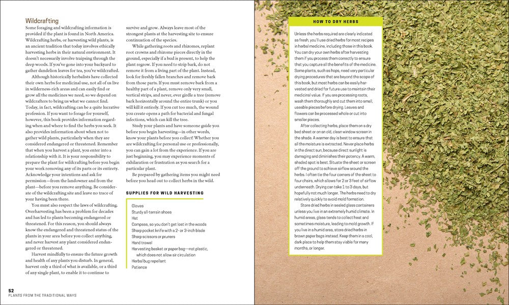 The Herbal Apothecary: 100 Medicinal Herbs and How to Use Them