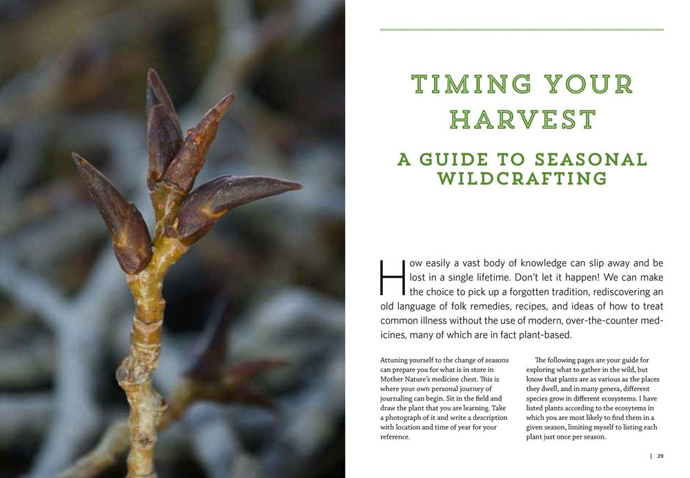 Mountain States Medicinal Plants