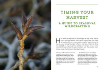 Mountain States Medicinal Plants