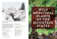 Mountain States Medicinal Plants