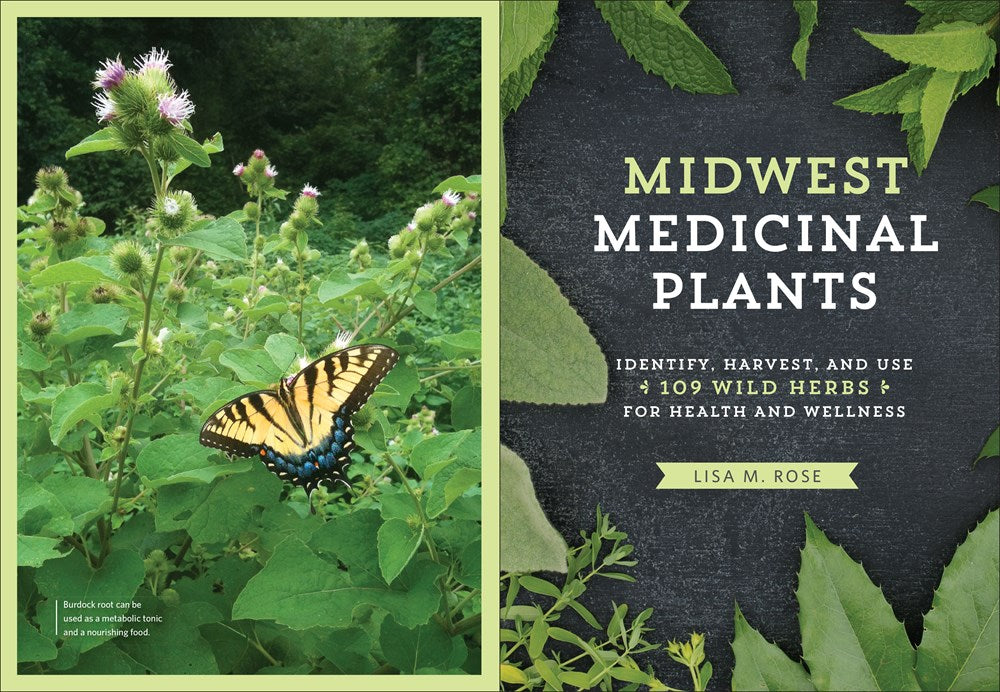 Midwest Medicinal Plants: Identify, Harvest, and Use 109 Wild Herbs for Health and Wellness
