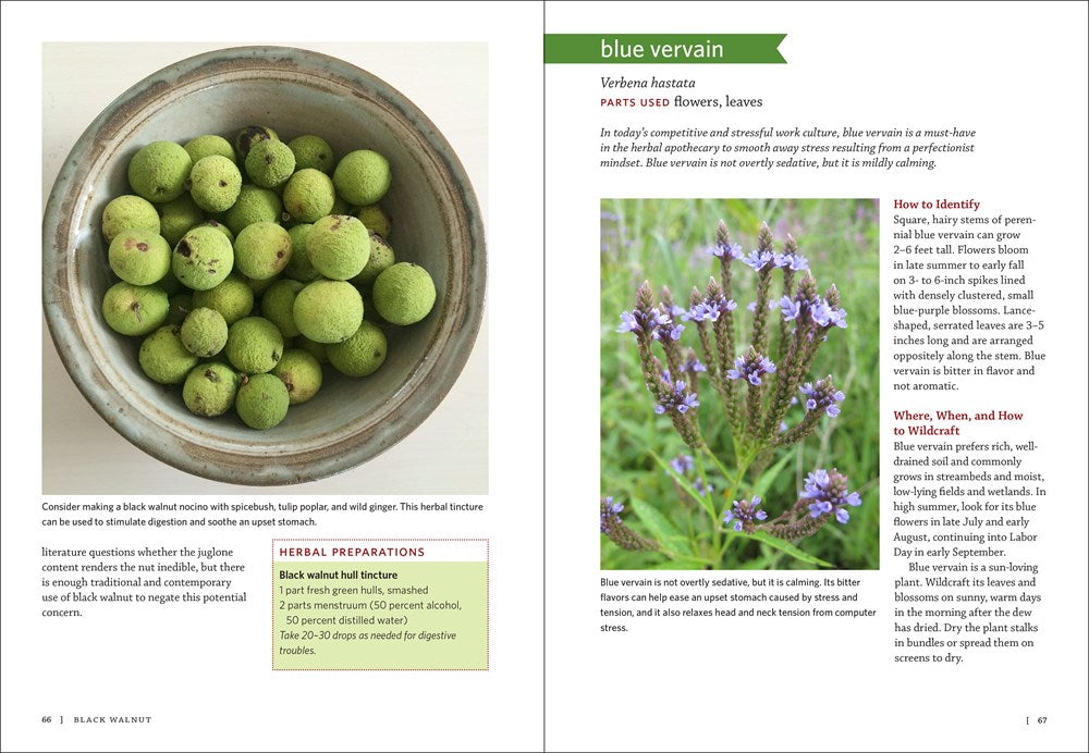 Midwest Medicinal Plants: Identify, Harvest, and Use 109 Wild Herbs for Health and Wellness