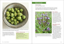 Midwest Medicinal Plants: Identify, Harvest, and Use 109 Wild Herbs for Health and Wellness