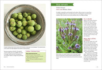 Midwest Medicinal Plants: Identify, Harvest, and Use 109 Wild Herbs for Health and Wellness