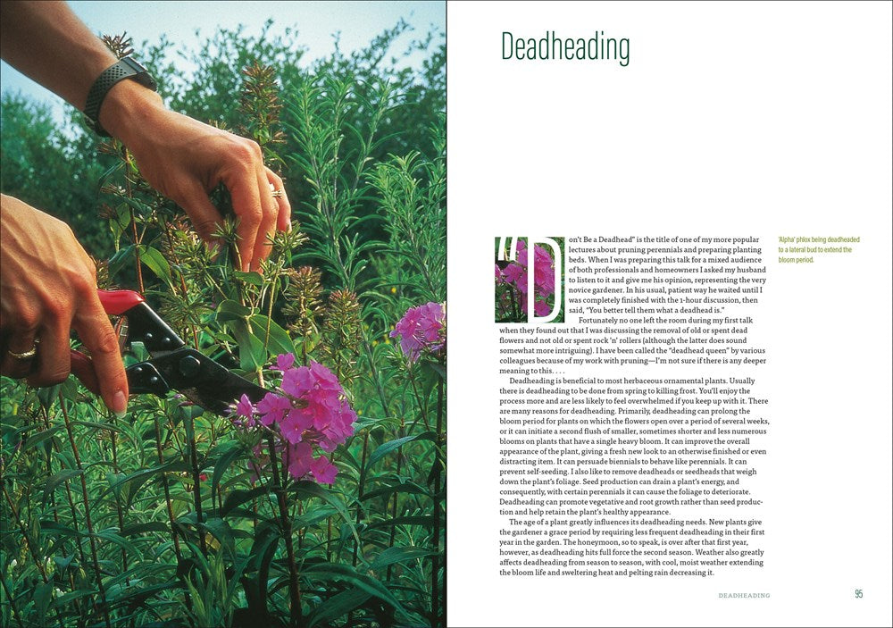 The Well-Tended Perennial Garden