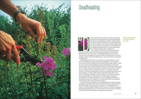 The Well-Tended Perennial Garden