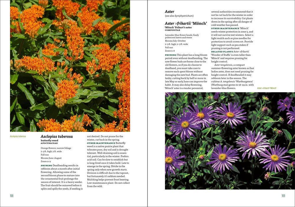 The Well-Tended Perennial Garden