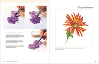 Botanical Art Techniques