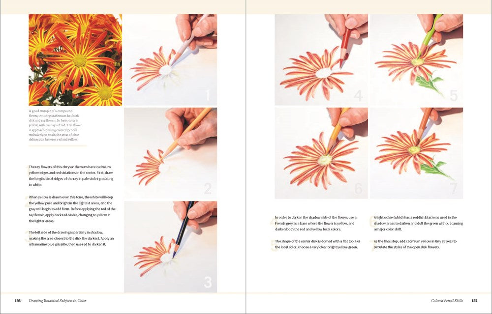 Botanical Art Techniques