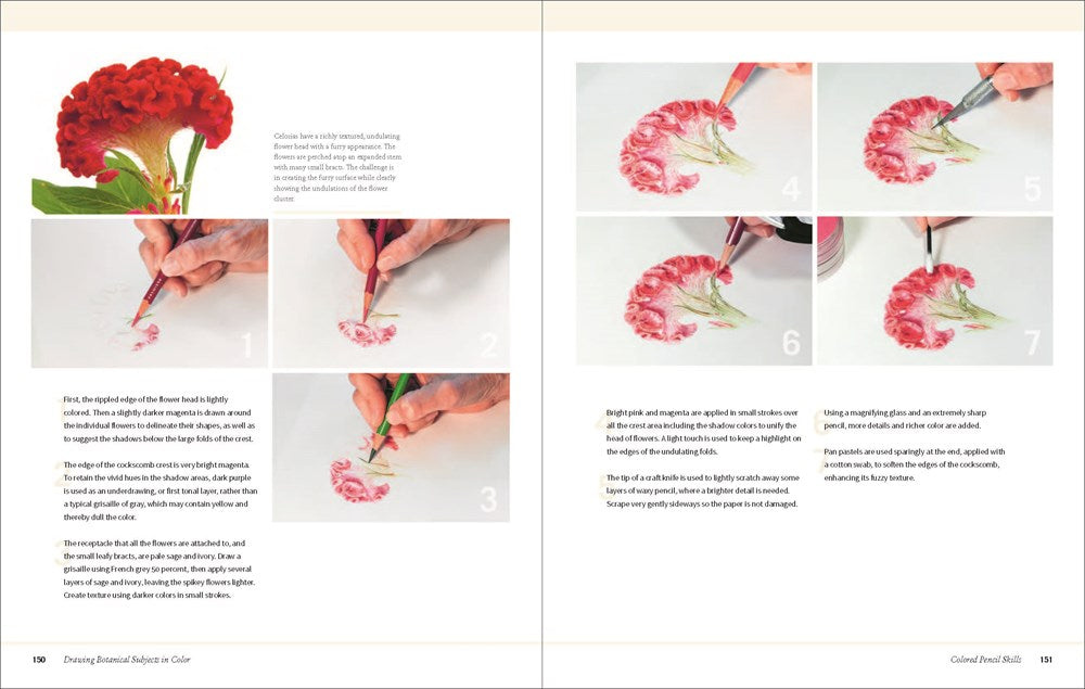 Botanical Art Techniques