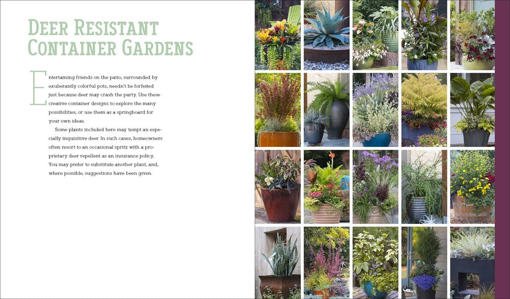 Deer-Resistant Design