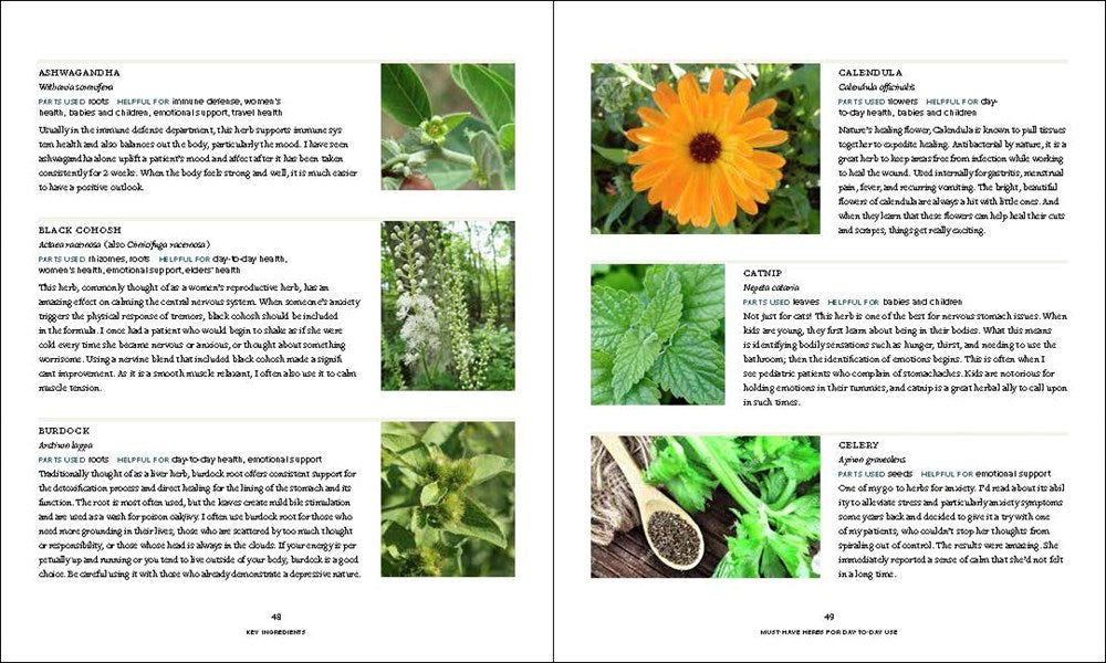 Master Recipes from the Herbal Apothecary: 375 Tinctures, Salves, Teas, Capsules, Oils, and Washes for Whole-Body Health and Wellness