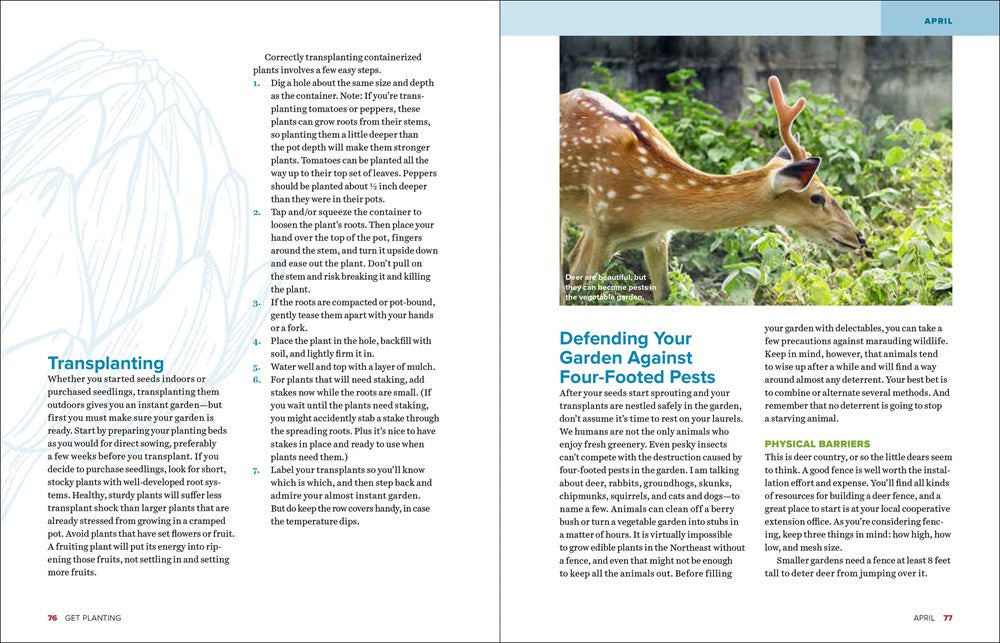 Grow Great Vegetables in Massachusetts