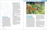 Grow Great Vegetables in Massachusetts