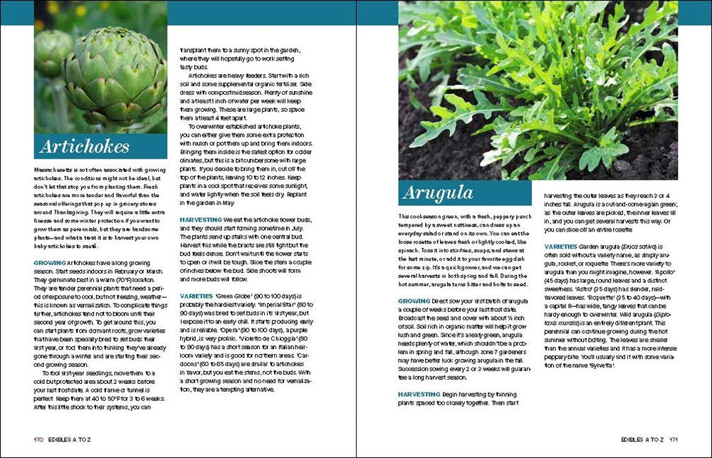 Grow Great Vegetables in Massachusetts