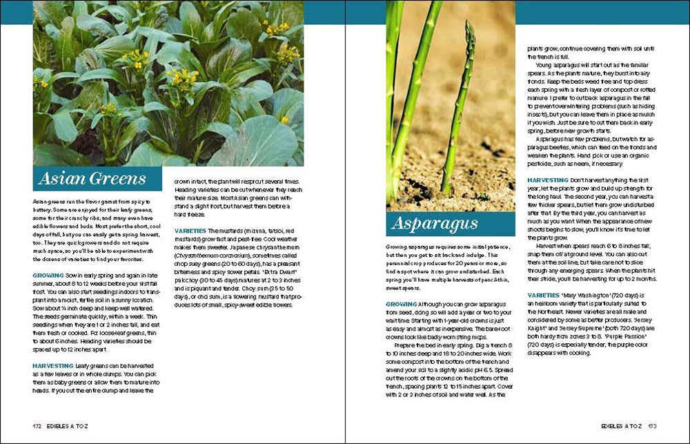 Grow Great Vegetables in Massachusetts