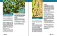 Grow Great Vegetables in Massachusetts