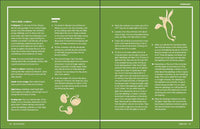 Grow Great Vegetables in Massachusetts