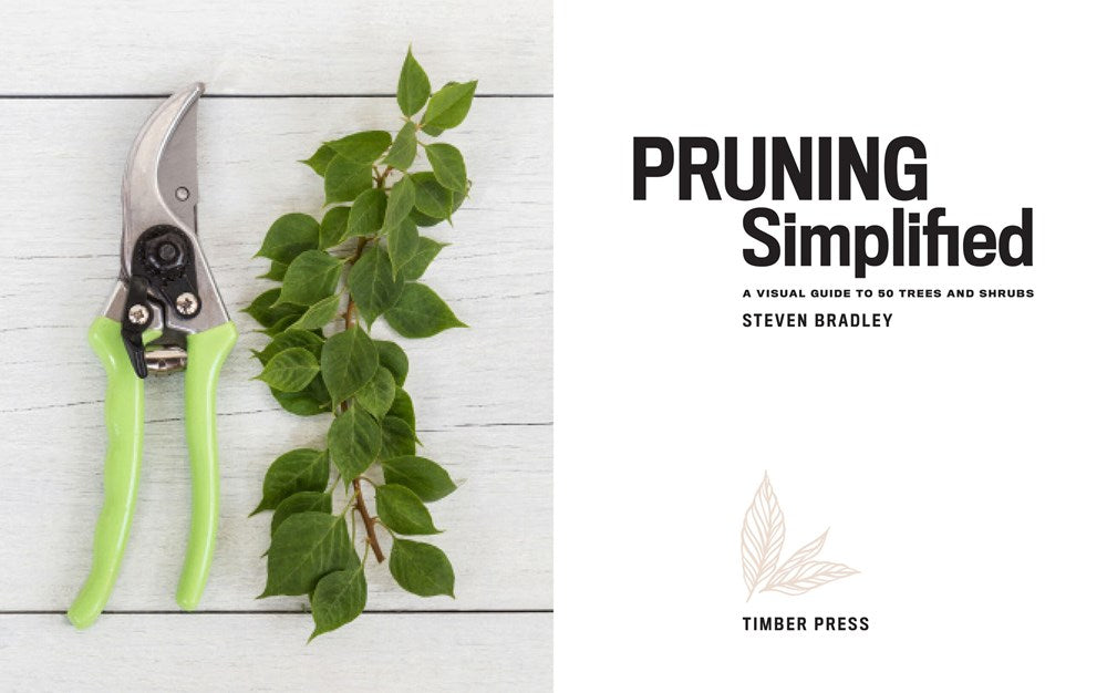 Pruning Simplified