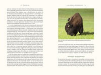 Nature's Best Hope: A New Approach to Conservation That Starts in Your Yard