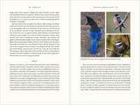 Nature's Best Hope: A New Approach to Conservation That Starts in Your Yard