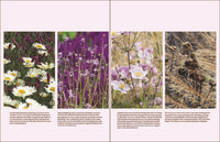 The Modern Cottage Garden